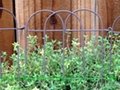 Picket Wire Garden Border Fence 4