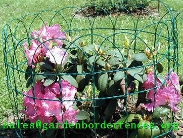 PVC Coated Garden Border Fence 2