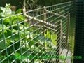Plastic Garden Border Fence 4