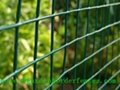 PVC Coated Galvanized Garden Border Fence 2