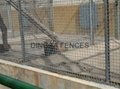 DINGSA Crimped Wire Mesh Fence 3