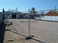 DINGSA Temporary Fence 5