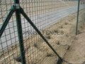 DINGSA Euro Fence 4