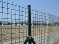 DINGSA Euro Fence 5
