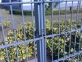 DINGSA DOUBLE WIRE FENCING 2