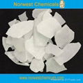 Water treatment chemicals sodium