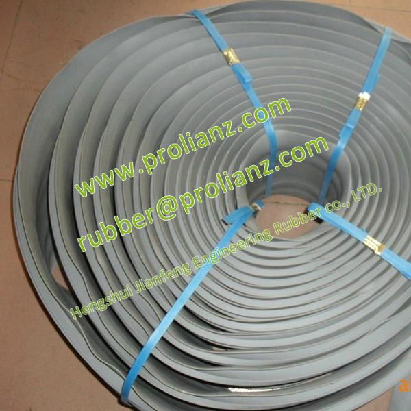 Various High Performance PVC Water Stop (Sold to Pakistan) 5