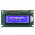 122X32 Stn Graphic LCD Module (Size: 84X44mm)