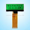 122X32 Stn Graphic LCD display (Size: 65.6X28.8 mm)