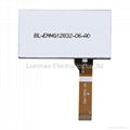 128X32 Dots FSTN Graphic LCD Screen (Size: 52*27.5 mm)