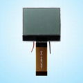 FSTN 12864 LCD Module (Size: 51.4(W) X 45.4 (H) mm)