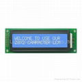 20X2 Stn Character LCD Module (Size: 116*37.0mm)