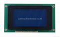 Stn 128X64 COB Graphic LCD Display (Size: 113*65*12.6mm)