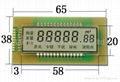 Monochrome segment LCD display 1