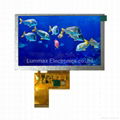 5 Inch TFT LCD Screen