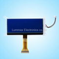 192X64 Graphic LCD Display (size: 116.2(W) *51.2 (H) *8 (T) mm)