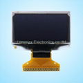 1.3 Inch 128*64 Dots OLED Display