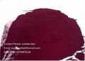 pigment red 122 2