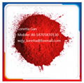 Pigment Red 202