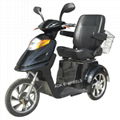 500W48V Electric Tricycle for Disabled or Old People (TC-015) 4