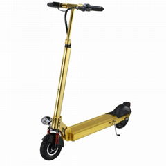 10.4ah Lithium Batteries Foldable Mobility Scooter with 350W Brushless Motor (ME