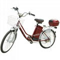 250W Brushless Motor Electric Bicycle