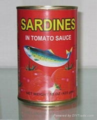 Canned Sardines in Tomato Sauce