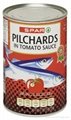 Canned Pilchards in Tomato Sauce  1