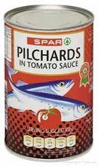 Canned Pilchards in Tomato Sauce 