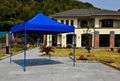 New product iron frame canopy tent gazebo tent for sale 3