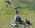 New Remote Controlled Electric Golf