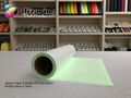 Alizarin Glow in Dark Cuttable Heat Transfer PU Flex 1