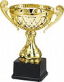 Trophy  1