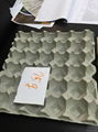 Pulp mold egg tray 1