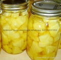 Pieces Canned Pineapple 2