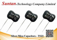 Silver Mica Capacitor