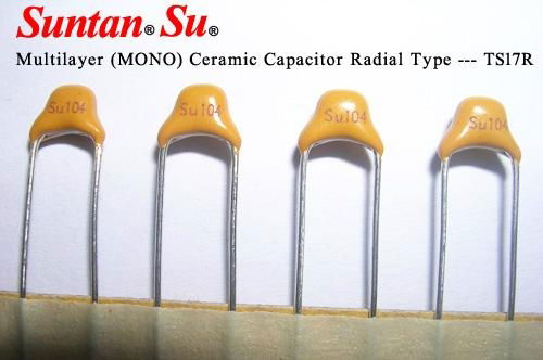 Ceramic Capacitor