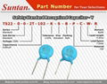 Safety Standard Recognized Capacitor - Y 2