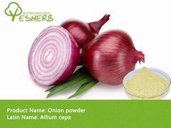 Organic highest grade Onion powder