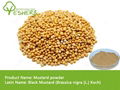 wholesale price mustard powder