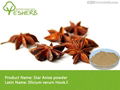 Best quality star anise powder 1