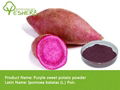 Organic purple sweet potato powder 1