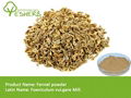 High quality Fennel powder