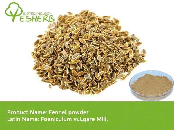 Organic Natural Fennel powder    