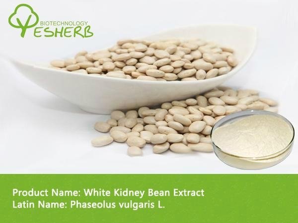 100% natural white kidney bean extract