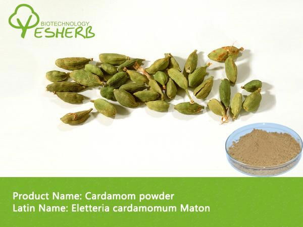 Organic natural cardamom powder