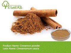 Natural cinnamon powder