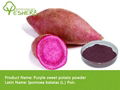 100% natural purple sweet potato powder