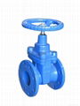 Standard Non-rising cast iron gate valves DN60-DN1500 2