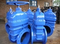 Standard Non-rising cast iron gate valves DN60-DN1500 1